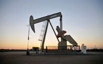 Giá dầu xuống dưới 60 USD/thùng lần đầu tiên trong năm nay