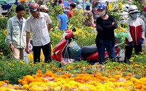 Đặc biệt trên báo in ngày 23.2.2018