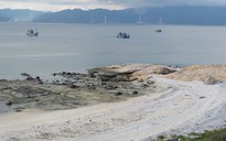 Không bàn giao ngư trường để nhận chìm chất thải nạo vét ở cảng Cửa Lò