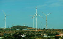 Nhà nước tăng giá mua điện gió