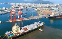 Thu hồi hơn 75% cổ phần cảng Quy Nhơn về cho nhà nước