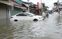 Đặc biệt trên báo in ngày 29.11.2018