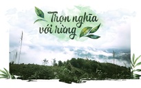 Trọn nghĩa với rừng