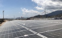 Hướng đến mục tiêu 1.000 MW điện mặt trời mái nhà