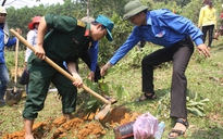 20 mùa hè trên cao nguyên