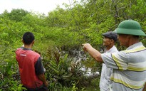 Cán bộ biến đất nuôi tôm thành đất ở để người nhà hưởng lợi