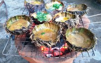 Về biển Phú Yên ăn nhum