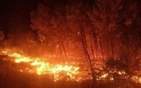 Liên tiếp cháy rừng ở Nghệ An và Hà Tĩnh
