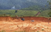 Lại chuyện 'khủng long chui lọt lỗ kim' trong quản lý rừng Lâm Đồng