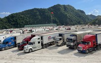 Trung Quốc dừng thông quan, 442 xe nông sản ùn tại Lạng Sơn