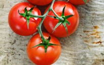Chuyên gia dinh dưỡng: 6 loại rau củ tốt nhất bạn nên ăn hằng ngày