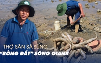 Thợ săn ‘rồng đất tiến vua’ kiếm tiền triệu mỗi ngày ở sông Gianh