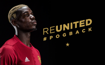 Pogba trở lại M.U vì muốn làm việc với Mourinho