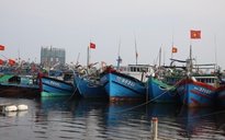Kêu gọi 121 tàu của Đà Nẵng tìm nơi tránh bão