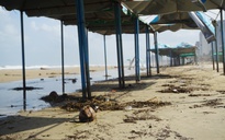 Biển Đà Nẵng ngập rác, hoạt động du lịch tê liệt sau mưa lớn