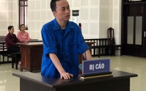 Đà Nẵng: Tuyên phạt "siêu" lừa đảo 14 năm tù