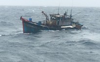 Đà Nẵng: Cứu 4 ngư dân của tàu cá bị chìm trên đường vào bờ