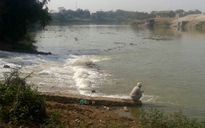 Cá chết dọc sông Thương hàng km vì nhiễm độc