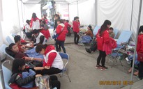 Gần 1.000 sinh viên, thanh niên tình nguyện hiến máu