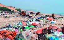 Bãi biển thành… bãi rác