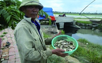 Cá chết hàng loạt trên sông Gòng nghi do khu công nghiệp xả thải