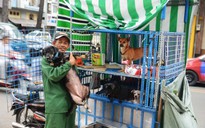 Chở 'người bạn' chó đi khắp Sài Gòn bằng nhà di động: Cô đơn còn lại người bạn ấy