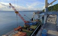 Xúc tiến đầu tư các hãng tàu container tại cảng Chân Mây