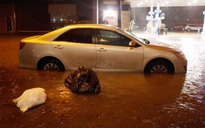 New York, New Jersey ban bố tình trạng khẩn cấp vì bão Ida