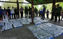Cảnh sát Philippines bắn chết 4 người Trung Quốc, thu giữ 500 kg ma túy