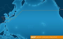 Microsoft mạnh tay đầu tư tuyến cáp xuyên Thái Bình Dương