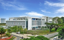 Google bơm 380 triệu USD xây trung tâm dữ liệu mới tại Singapore