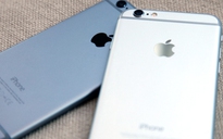 Rộ tin đồn Apple phát triển iPhone màn hình 5 inch