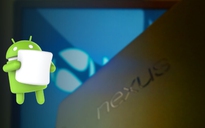 Google giới thiệu smartphone Nexus mới vào ngày 29.9