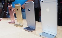 iPhone 6S đứng trước nguy cơ 'ế' hơn iPhone 6