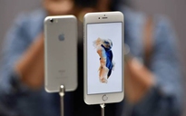 iPhone dùng màn hình OLED do LG và Samsung sản xuất