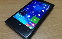Windows Phone 8.1 sẽ lên đời Windows 10 Mobile trong tháng này