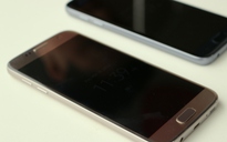 Galaxy S7 xách tay về 13 triệu đồng, không hấp dẫn bằng chính hãng
