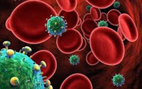 Có thể loại bỏ vi rút HIV ở giai đoạn mới xâm nhập