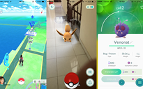 Cộng đồng mạng 'nóng mặt' với người chơi Pokemon GO