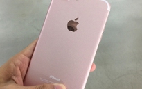 Rò rỉ hình ảnh iPhone 7 Plus màu hồng