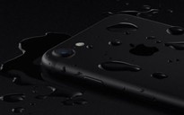 iPhone 7 có khả năng chống nước nhưng không được bảo hành nếu vô nước