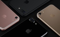 Apple điều tra sự cố iPhone 7 không nhận được SIM