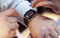 Doanh số bán hàng Apple Watch đang 'rơi tự do'