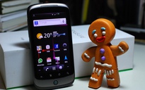 Google khai tử Android Gingerbread và Honeycomb vào năm 2017