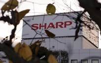Sharp mở rộng dây chuyền sản xuất màn hình OLED cho iPhone