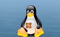 Phát hiện lỗ hổng trong nhân Linux tồn tại hơn 7 năm