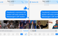 Facebook cho phép bình luận bằng ảnh động