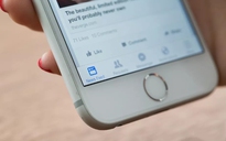 Facebook khoe công nghệ dịch nhanh gấp 9 lần so với đối thủ