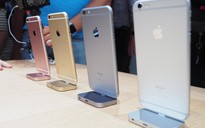 iPhone 6S khóa mạng giảm giá mạnh, còn dưới 5,5 triệu đồng