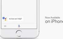 Đã có thể sử dụng Apple Music với Google Assistant trên iPhone
